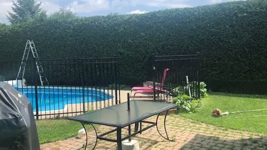 Services d’arbres